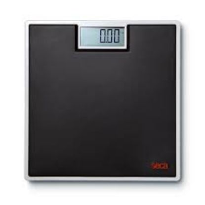 Picture of SECA 803 - Digital flat scale