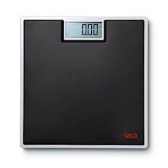 Picture of SECA 803 - Digital flat scale