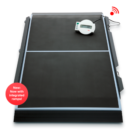 Picture for category Stretcher Scales